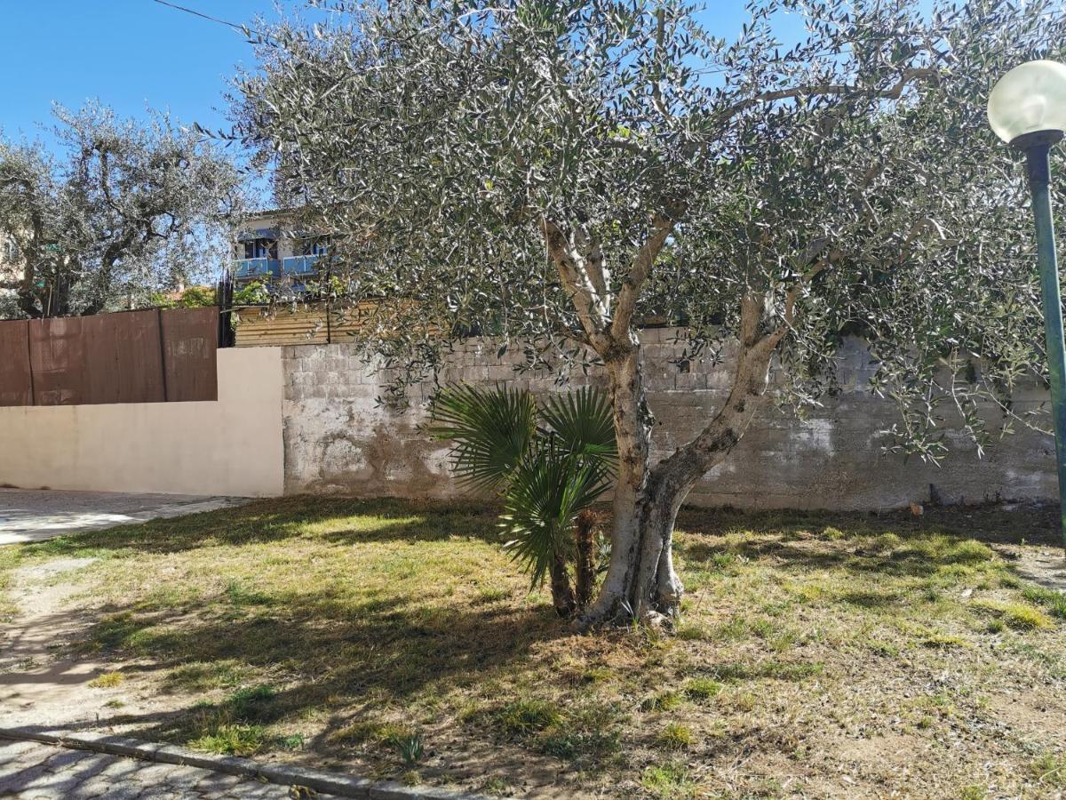 Apartment Caba Gritti
