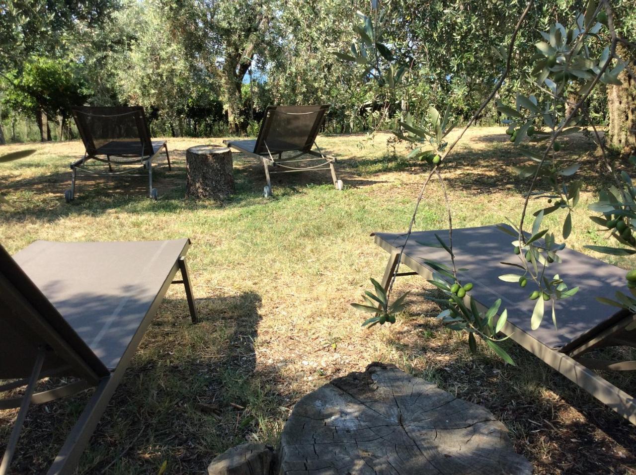 Tenuta La Pergola * Bardolino