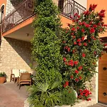 Casa Elite