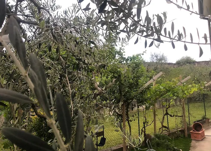 Bardolino,Lago Di Garda, Appartamento,Vacanze