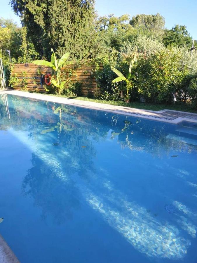 Apartment Paradiso Del Garda Vista-verde Bardolino