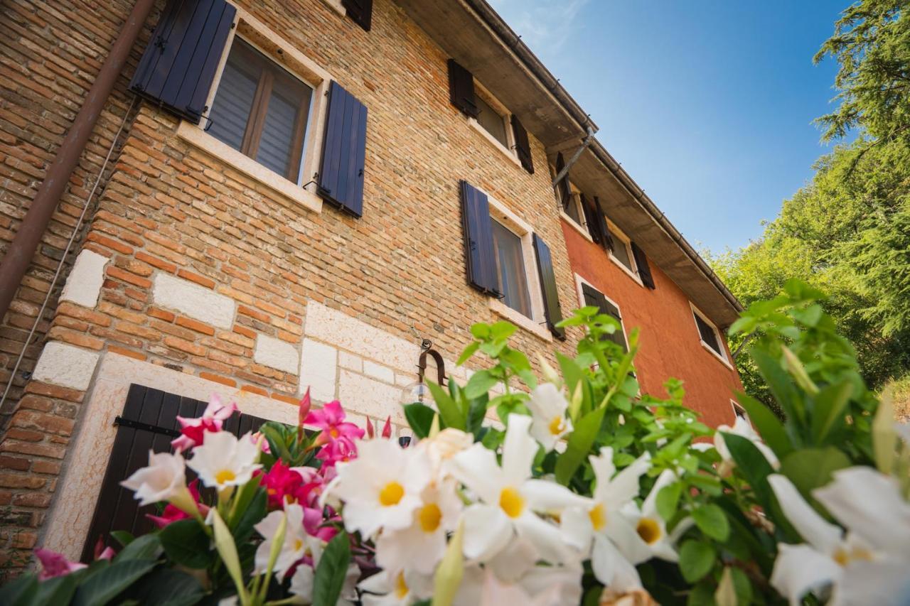 Apartment Dama Del Lago Bardolino