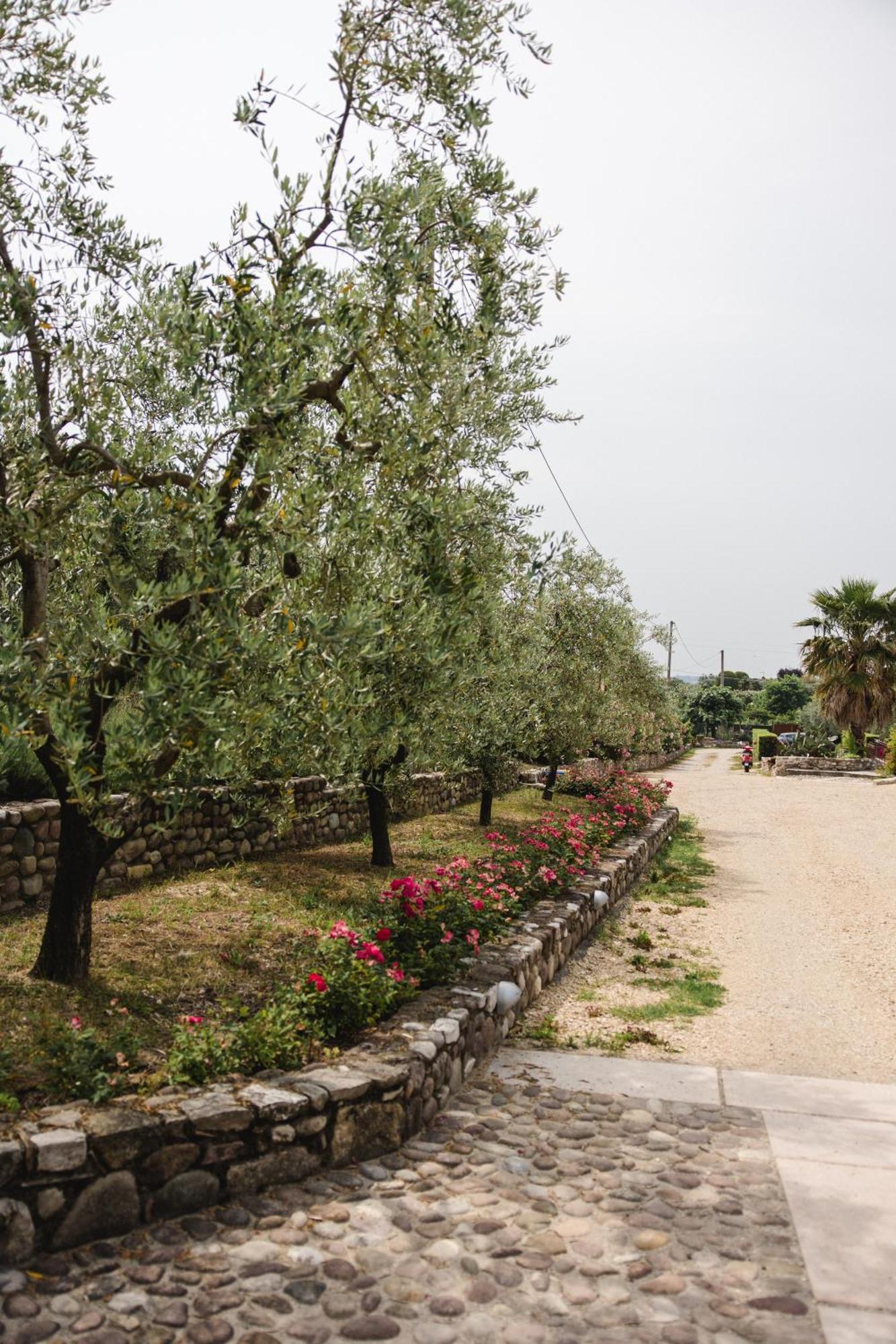 La Rondinella Bardolino