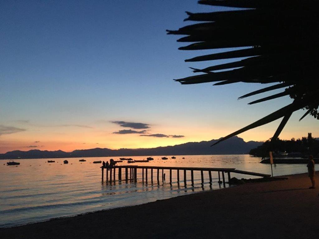 Apartament Olivenblatt 4 *