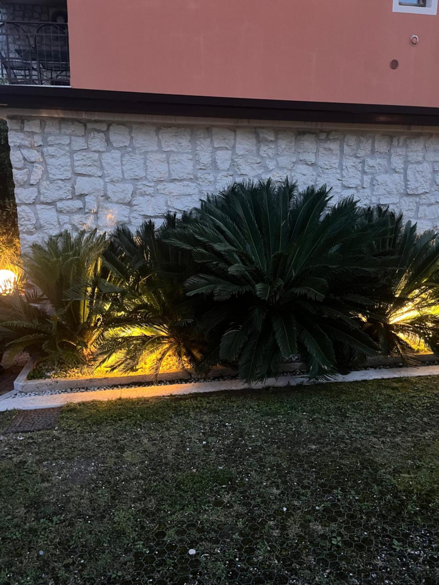 Apartment Casa Elite *