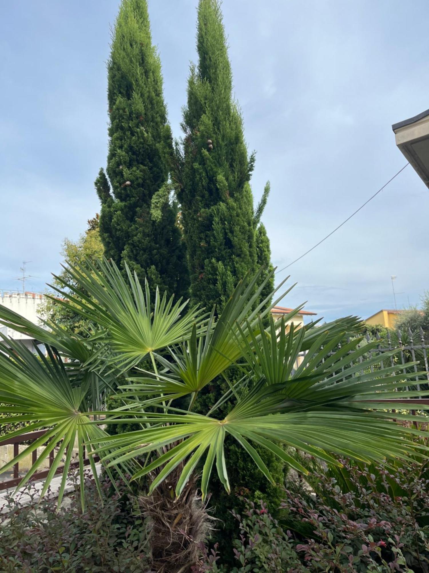 Casa Elite * Bardolino