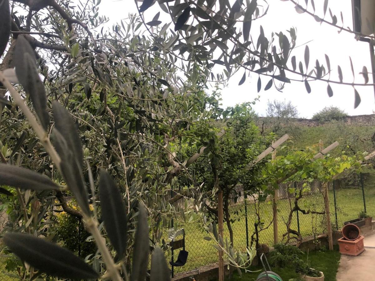 Bardolino,lago Di Garda, Appartamento,vacanze * Bardolino