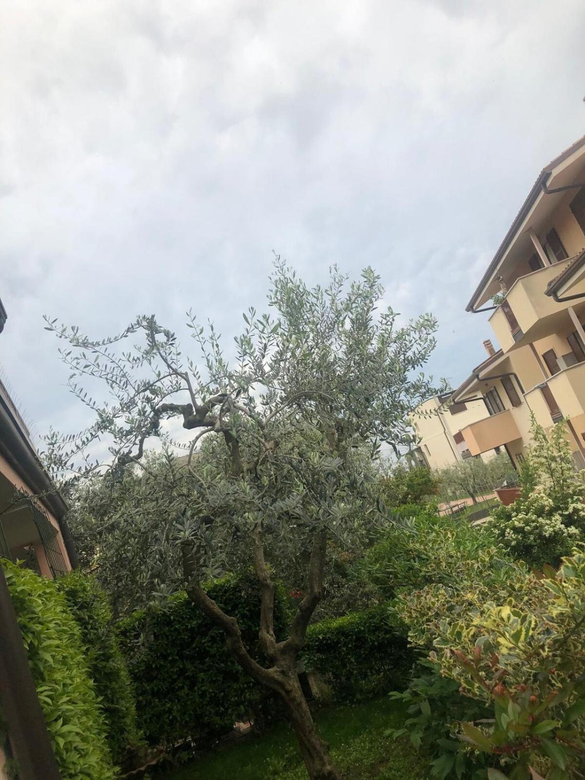 Apartment Bardolino,lago Di Garda, Appartamento,vacanze *