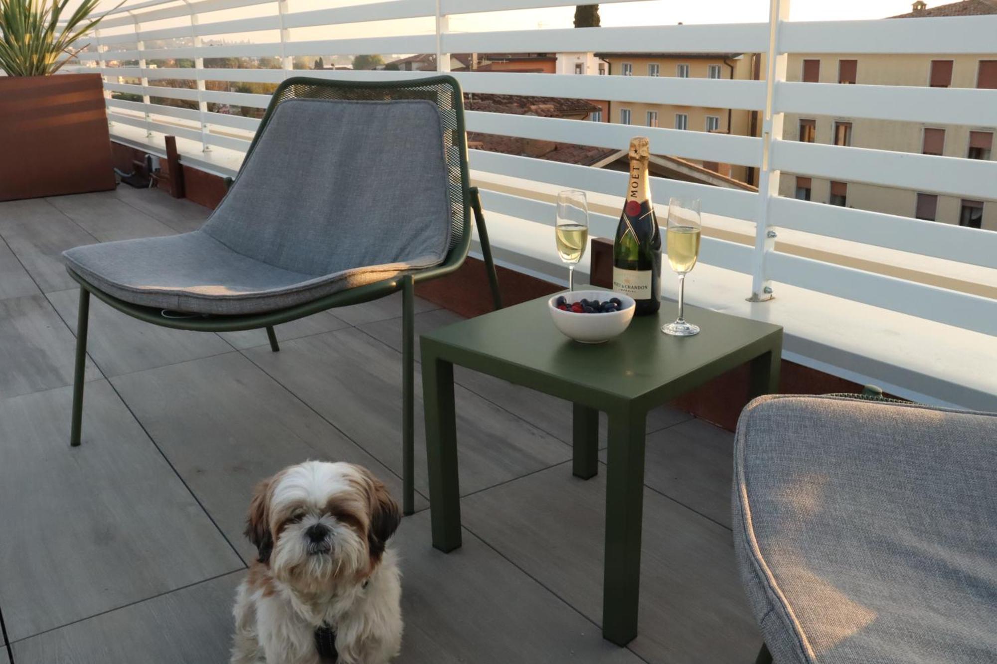 Domus Aurus Luxury Apartment Bardolino