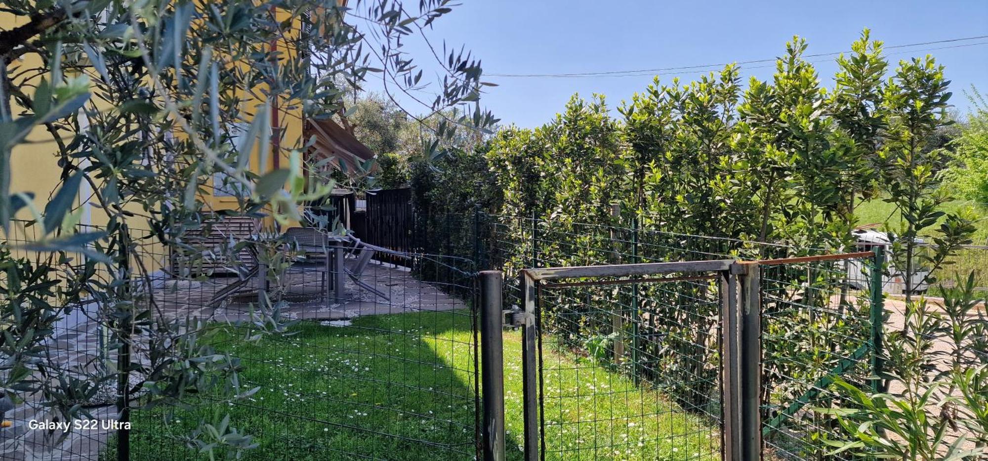 A Bardolino