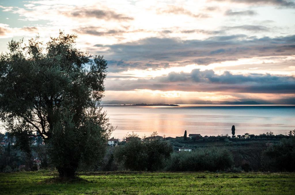 Prati Palai Bardolino