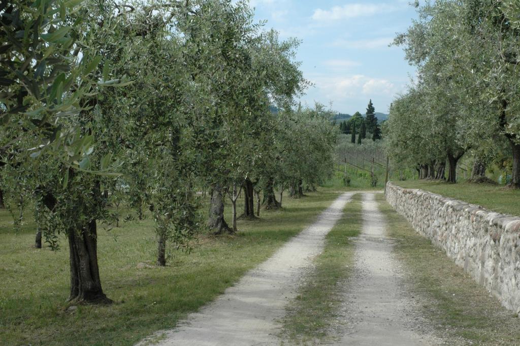 Tenuta La Pergola