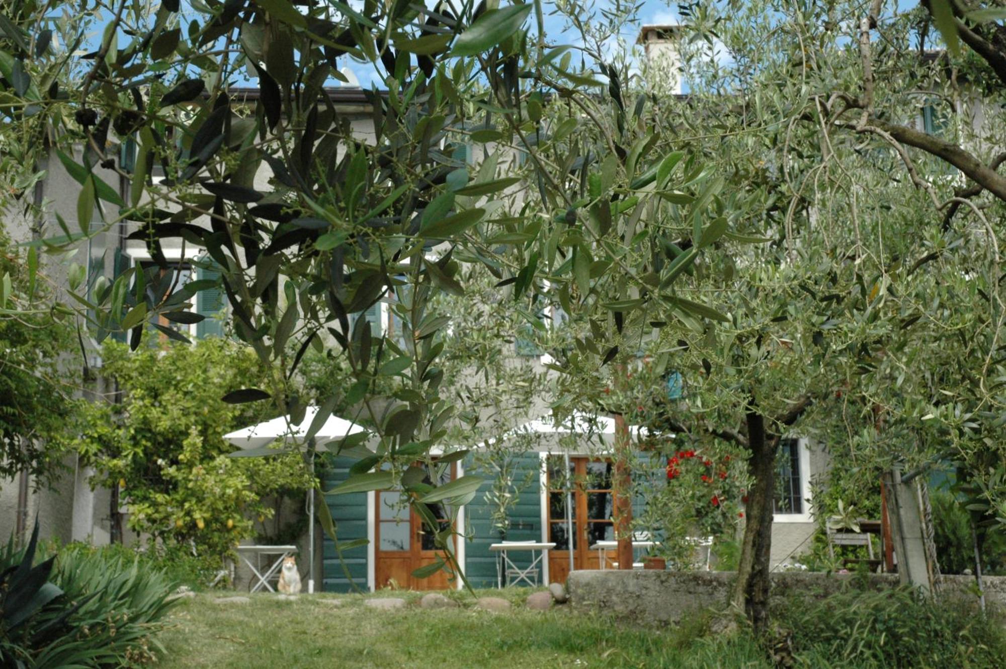 Tenuta La Pergola * Bardolino