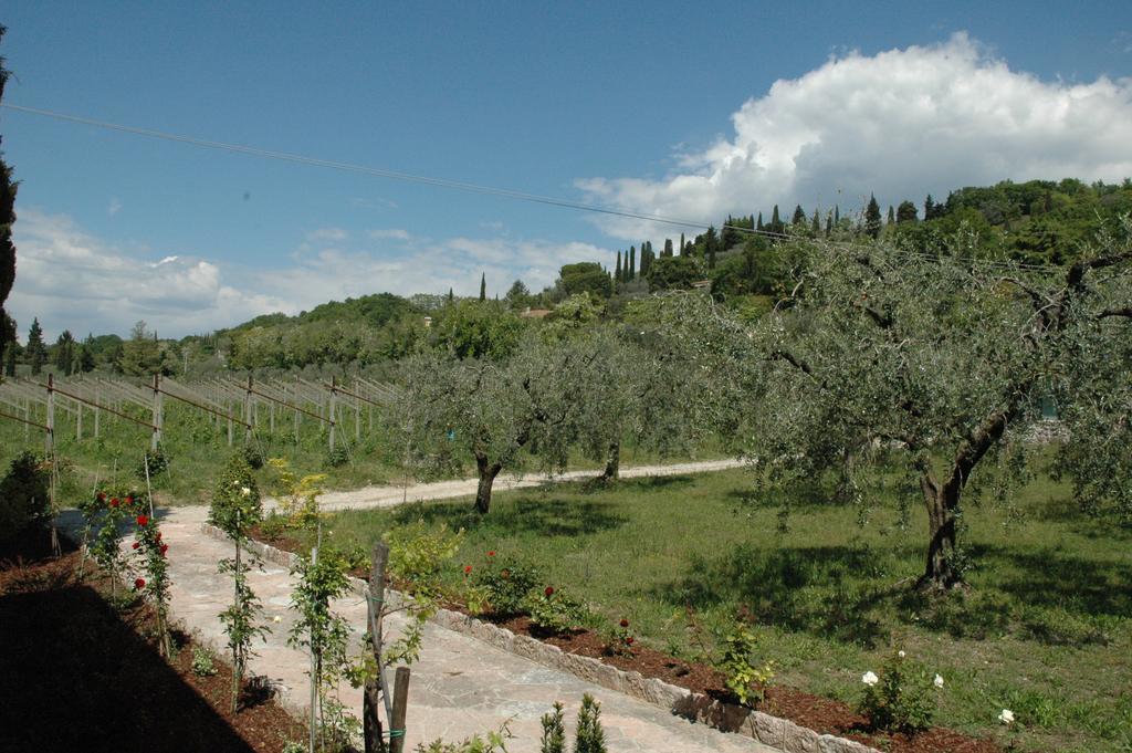 Farm stay Tenuta La Pergola