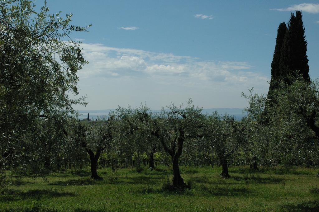 Tenuta La Pergola Bardolino