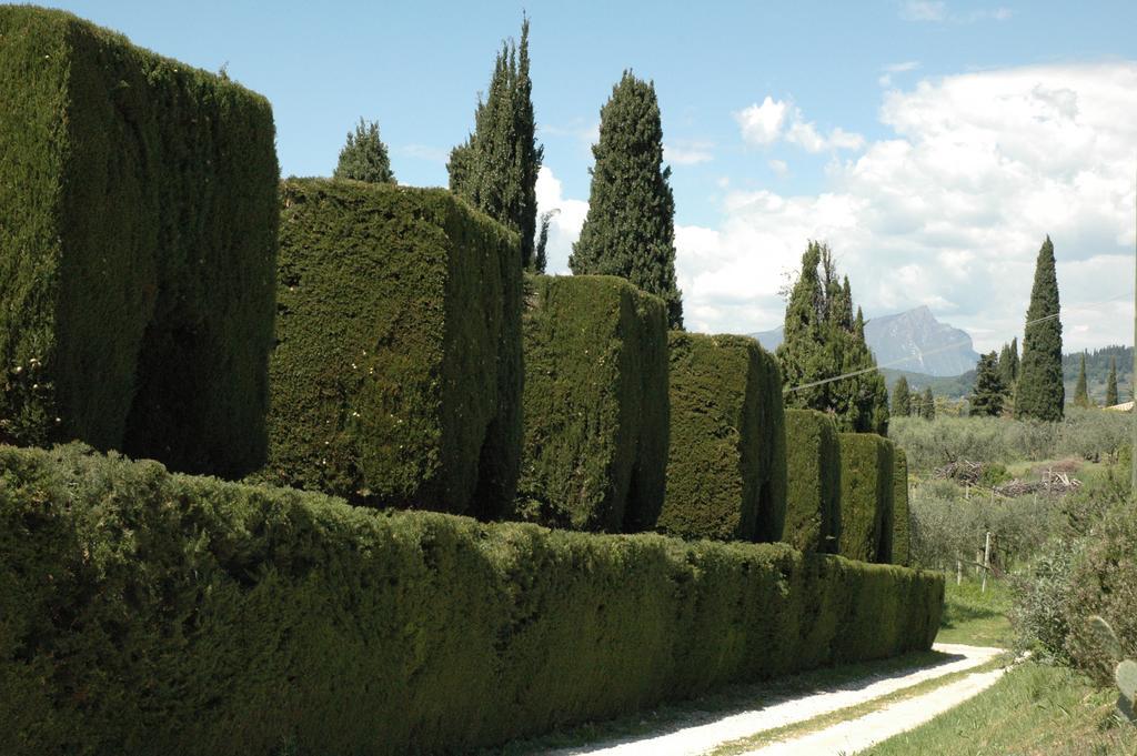 Tenuta La Pergola