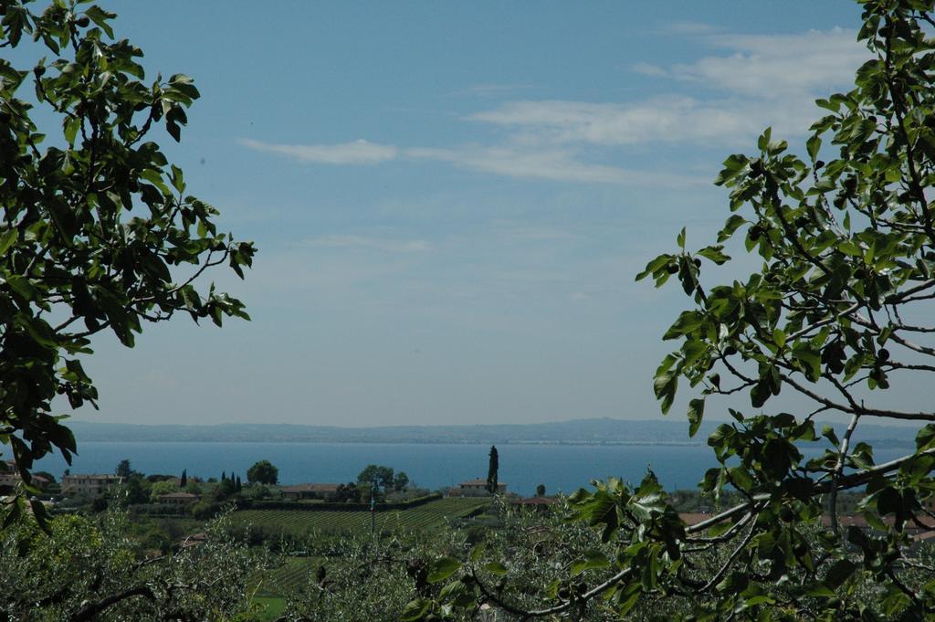 Farm stay Tenuta La Pergola