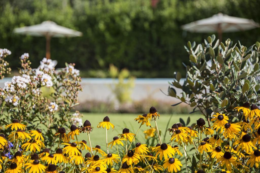 Ca Muretta Relais Farm stay