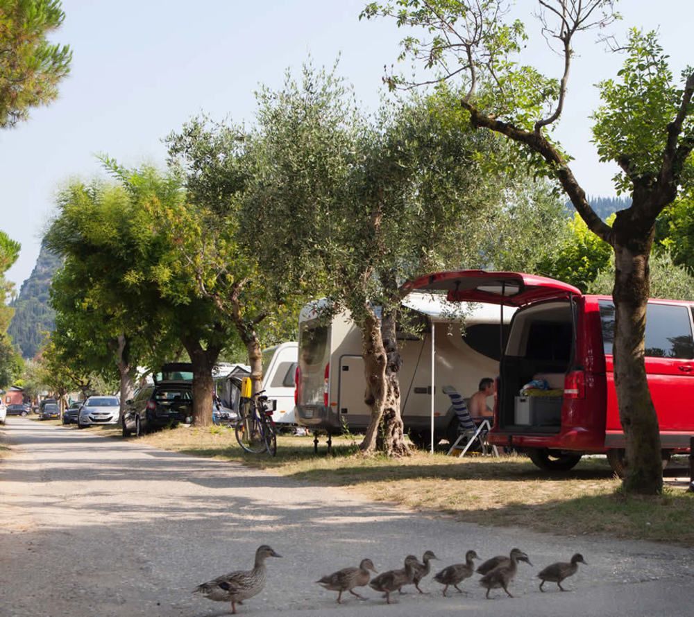 Camping Serenella