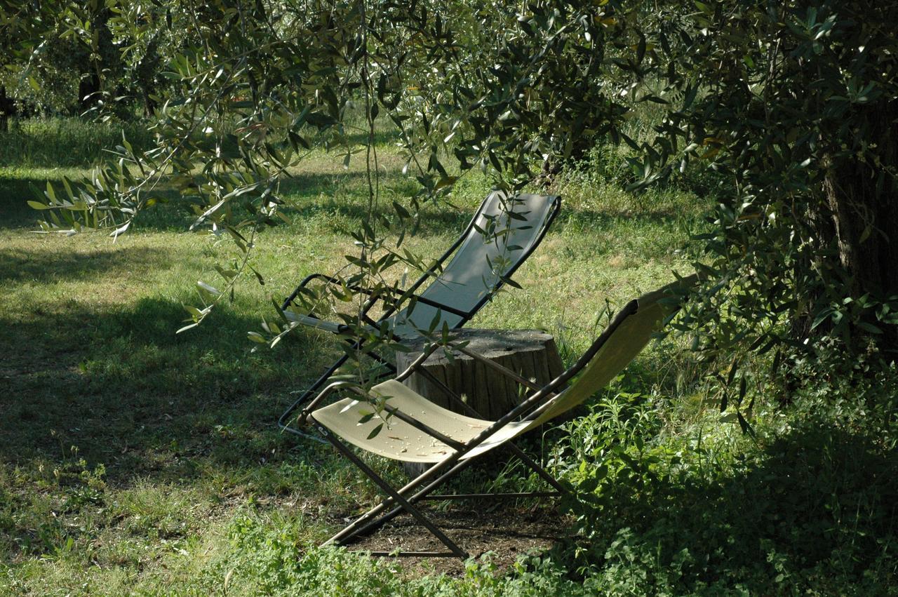 Farm stay Tenuta La Pergola Bardolino