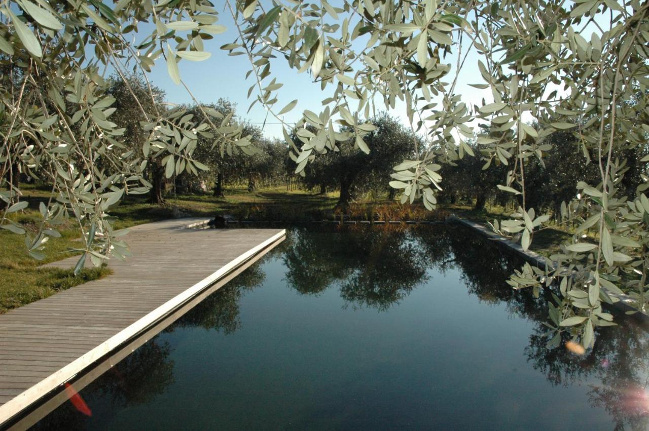 Tenuta La Pergola * Bardolino