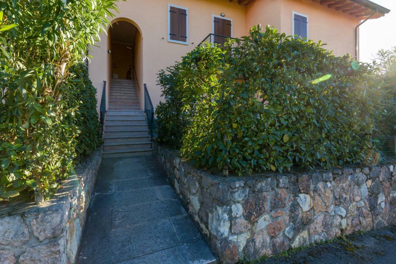 Carlotta's House