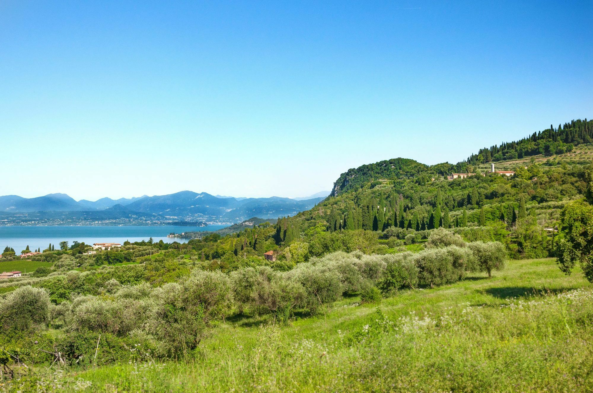 Prati Palai Bardolino