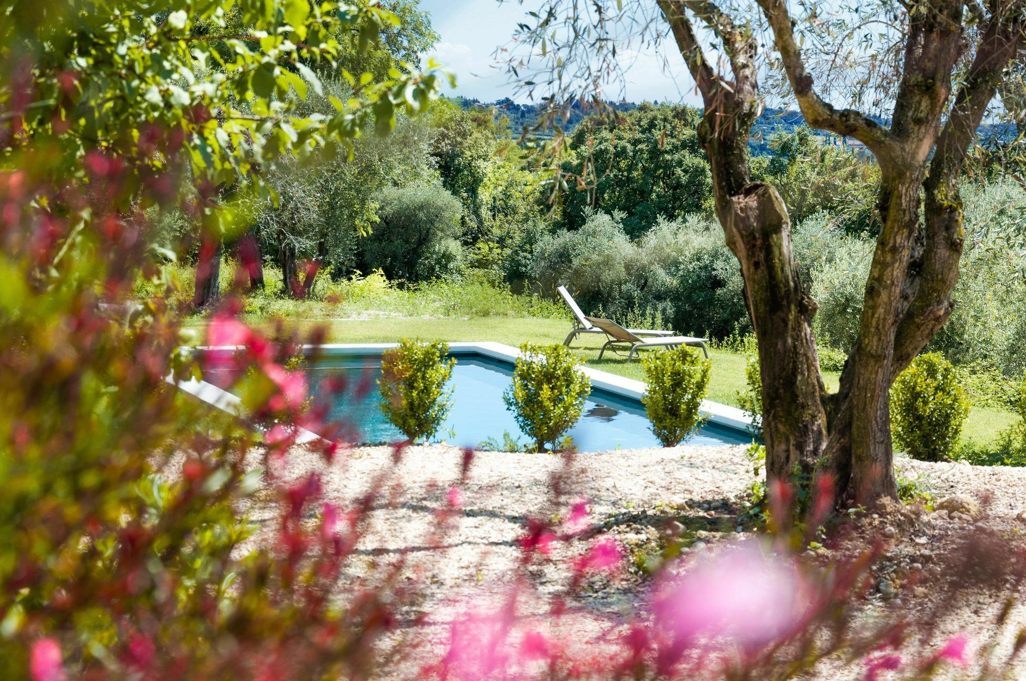Prati Palai * Bardolino