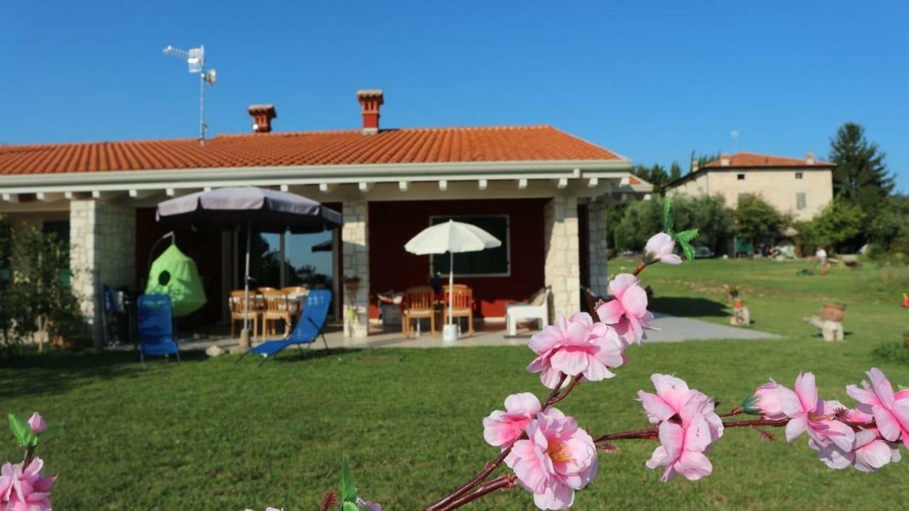 Rosa Dei Venti Sul Garda