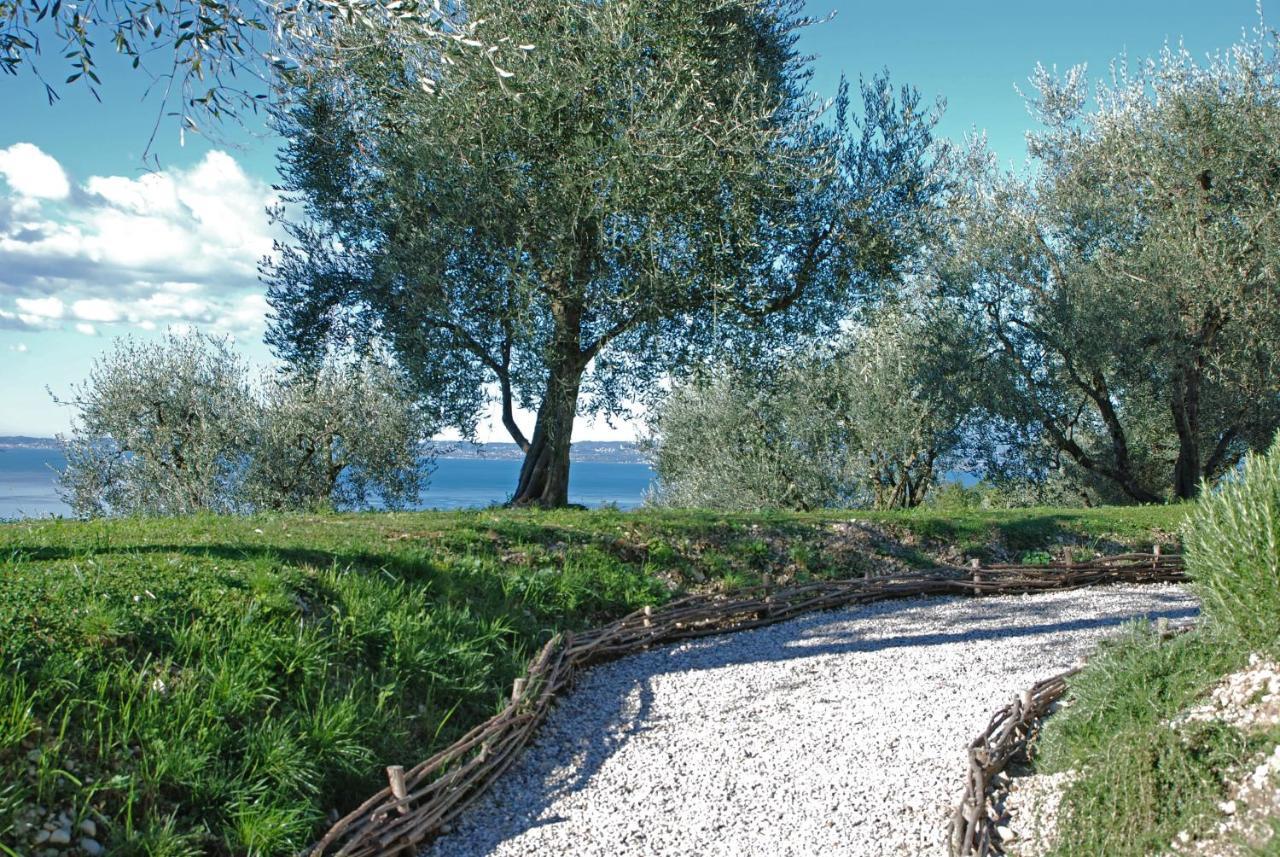 Prati Palai Farm stay