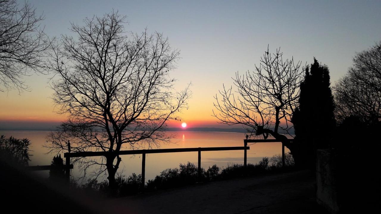 Dama Del Lago