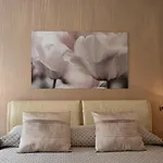 Flower Apartments