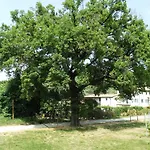 Agriturismo Ca\' Castellani
