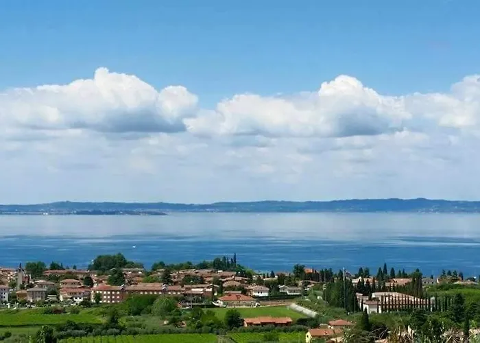 Ca Frisonai