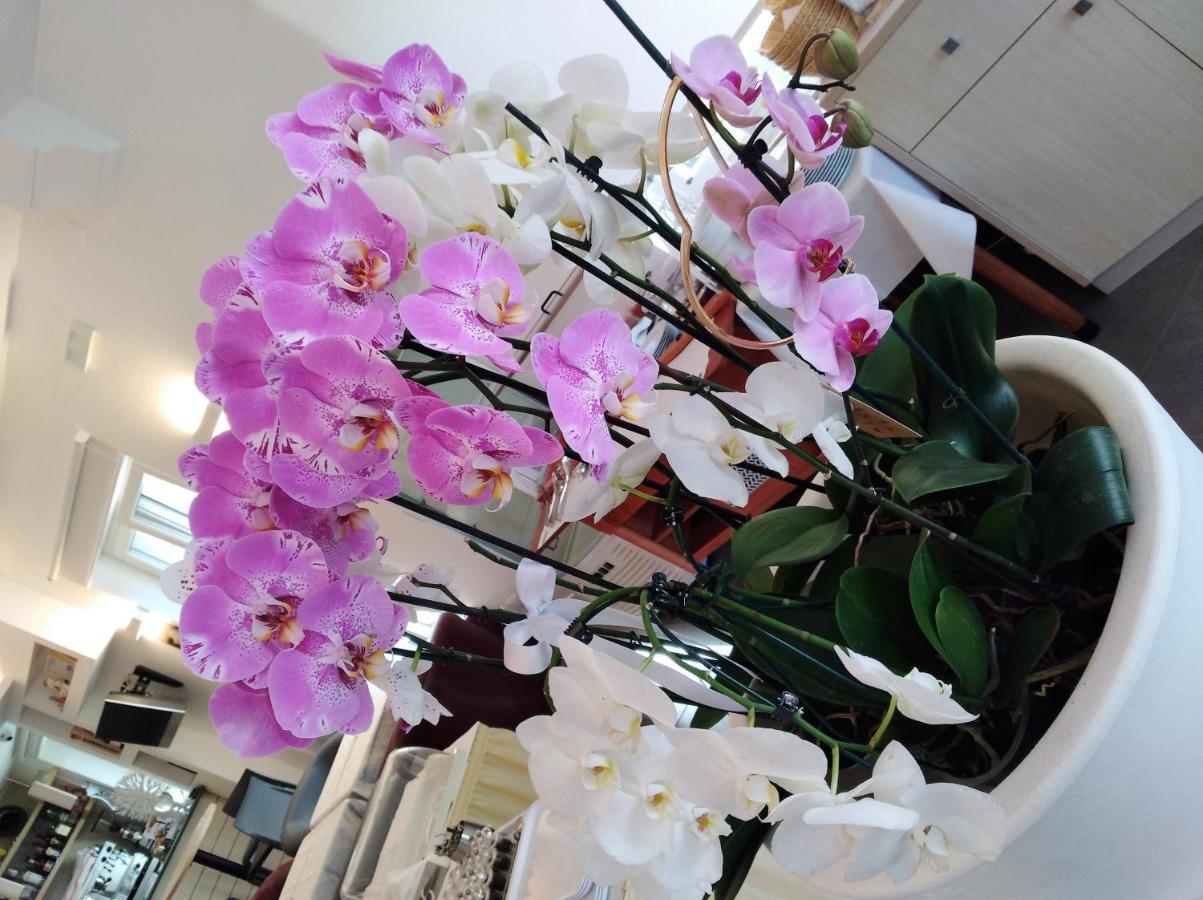 Hotel Orchidea