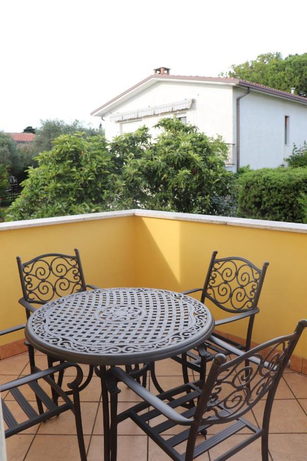 Mimosa Bardolino