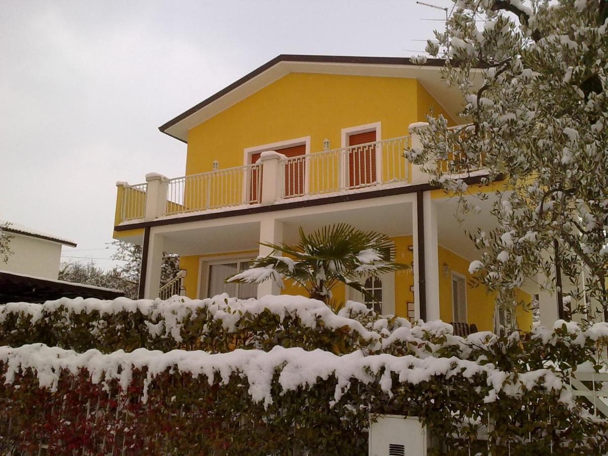 Mimosa * Bardolino