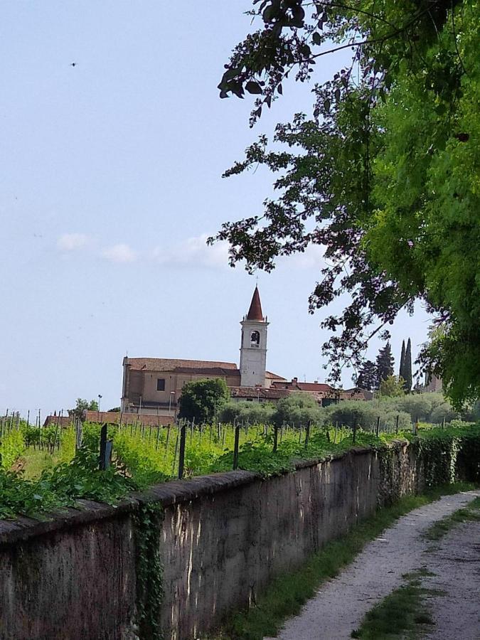 Private Garden Giardino Privato A - House Amorino Appartamento *