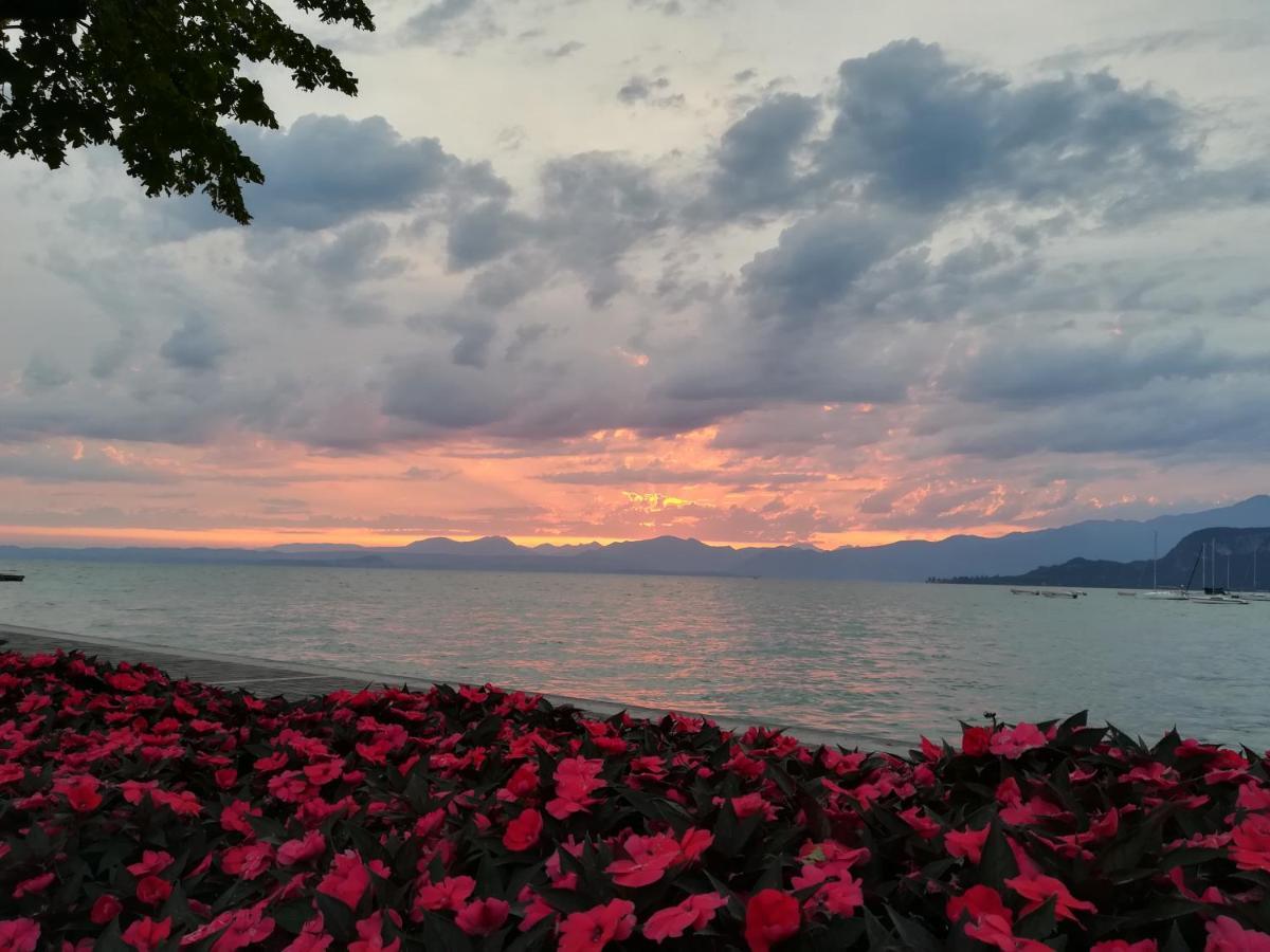 Francy Panorama