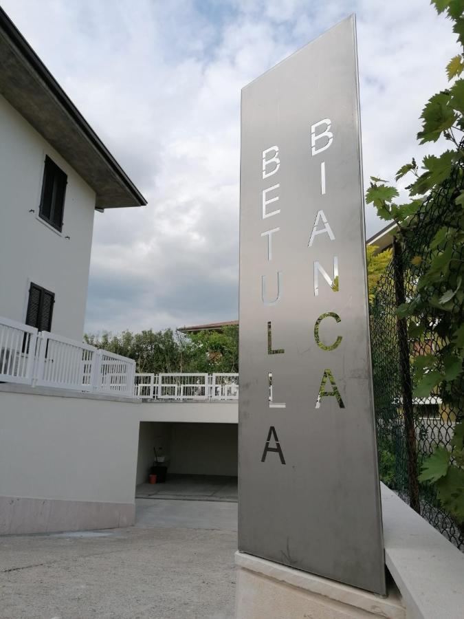 Betulla Bianca Bardolino