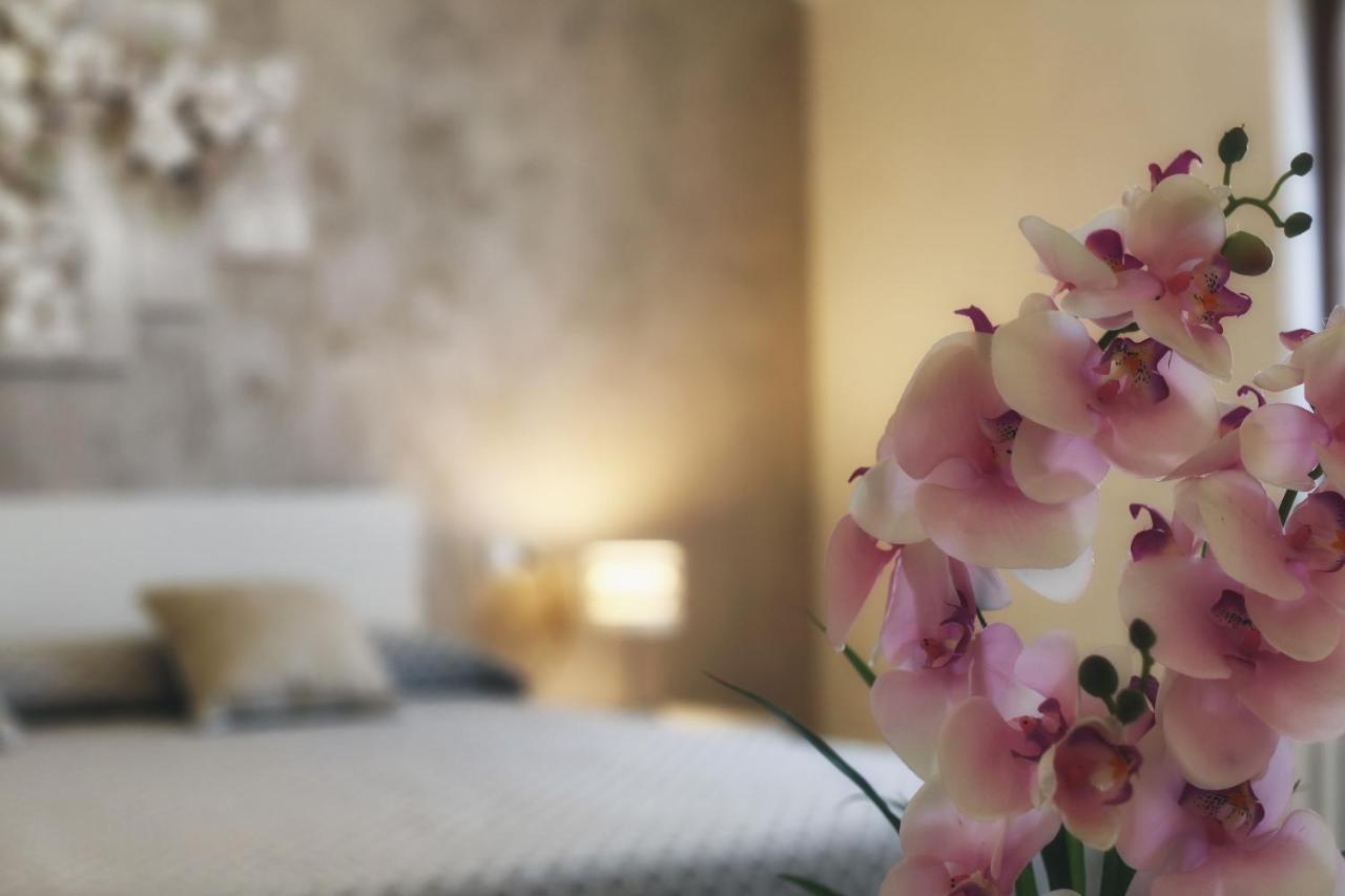 Apartment Flower
