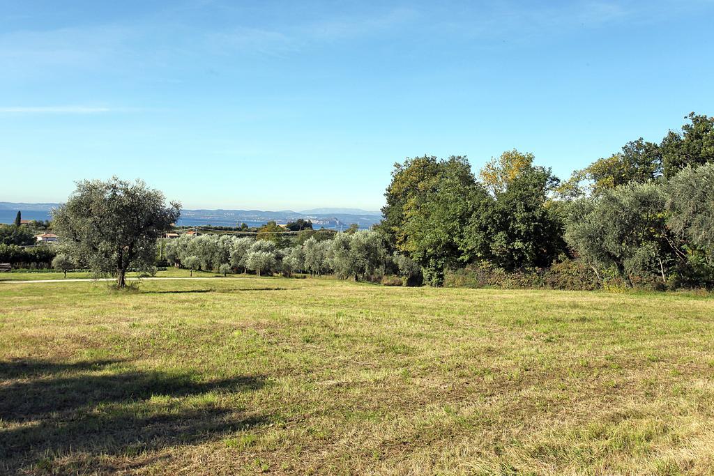 Bellavista * Bardolino