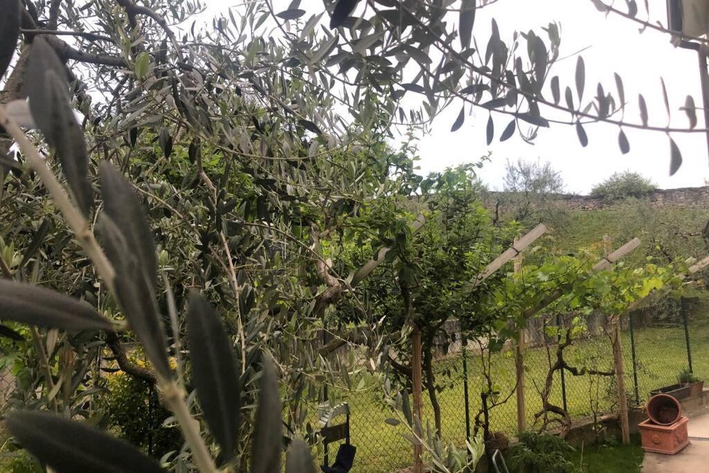 Bardolino,lago Di Garda, Appartamento,vacanze Apartment