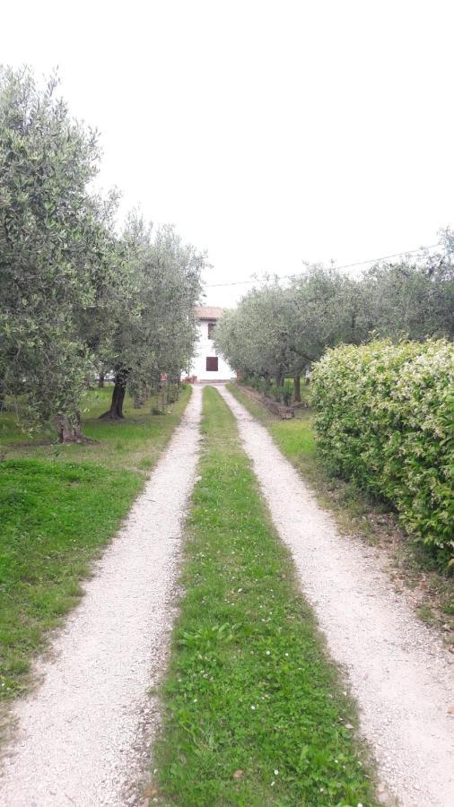 Appartamento Casa Tra Gli Olivi