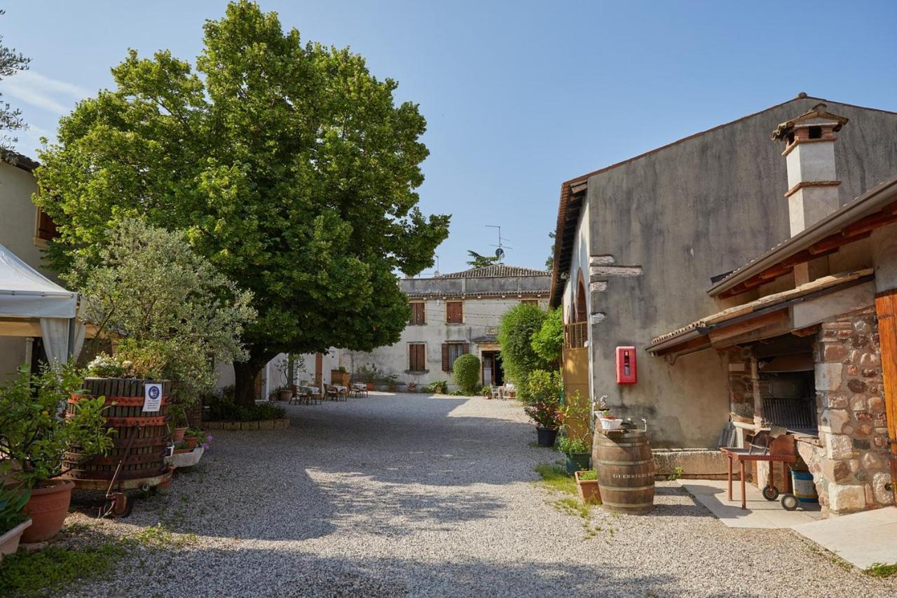 Farm stay Agriturismo Della Pieve Bardolino