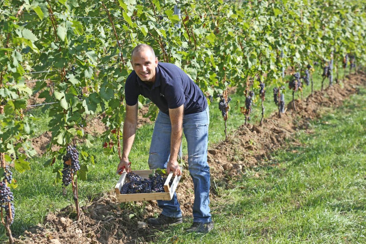 Agriturismo La Rocca Bardolino