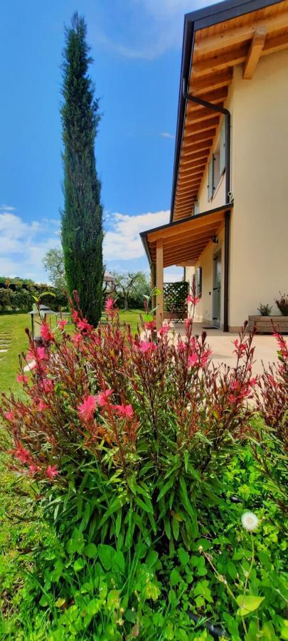 Agriturismo La Rocca Farm stay