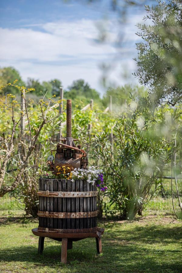 Farm stay Borgo Di Calmasino Bardolino