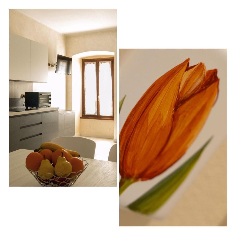 Apartment Flower