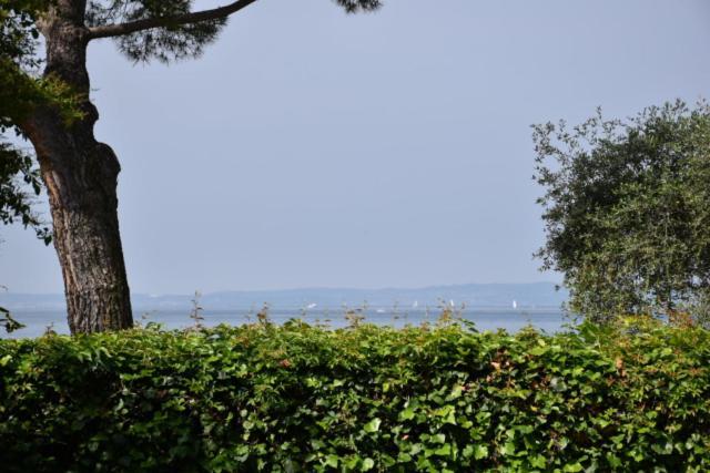 Rivalago Casa vacanze Bardolino